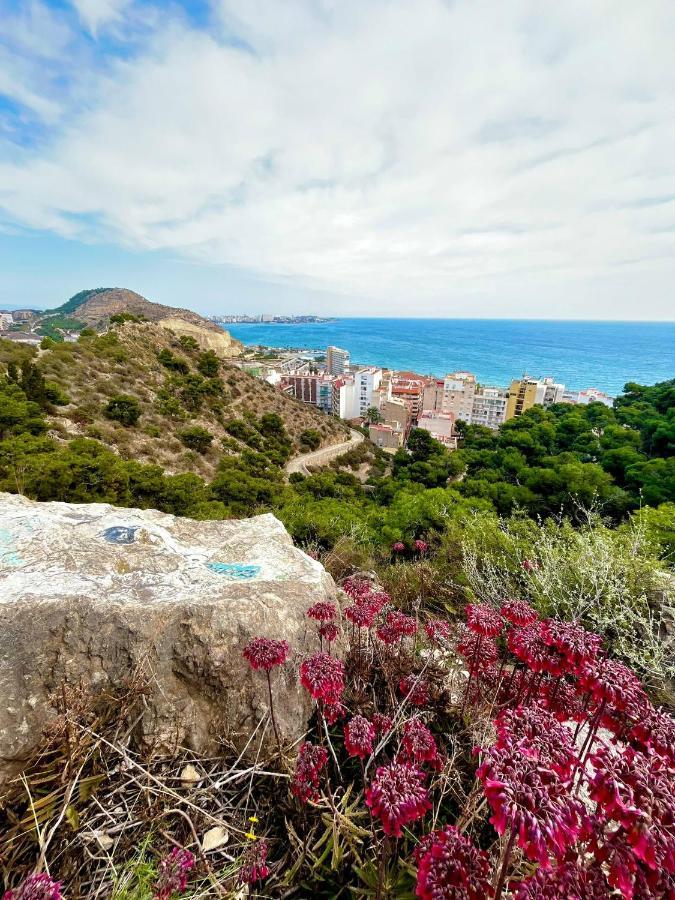 Hanna'S Estudio Deluxe Alicante Dış mekan fotoğraf